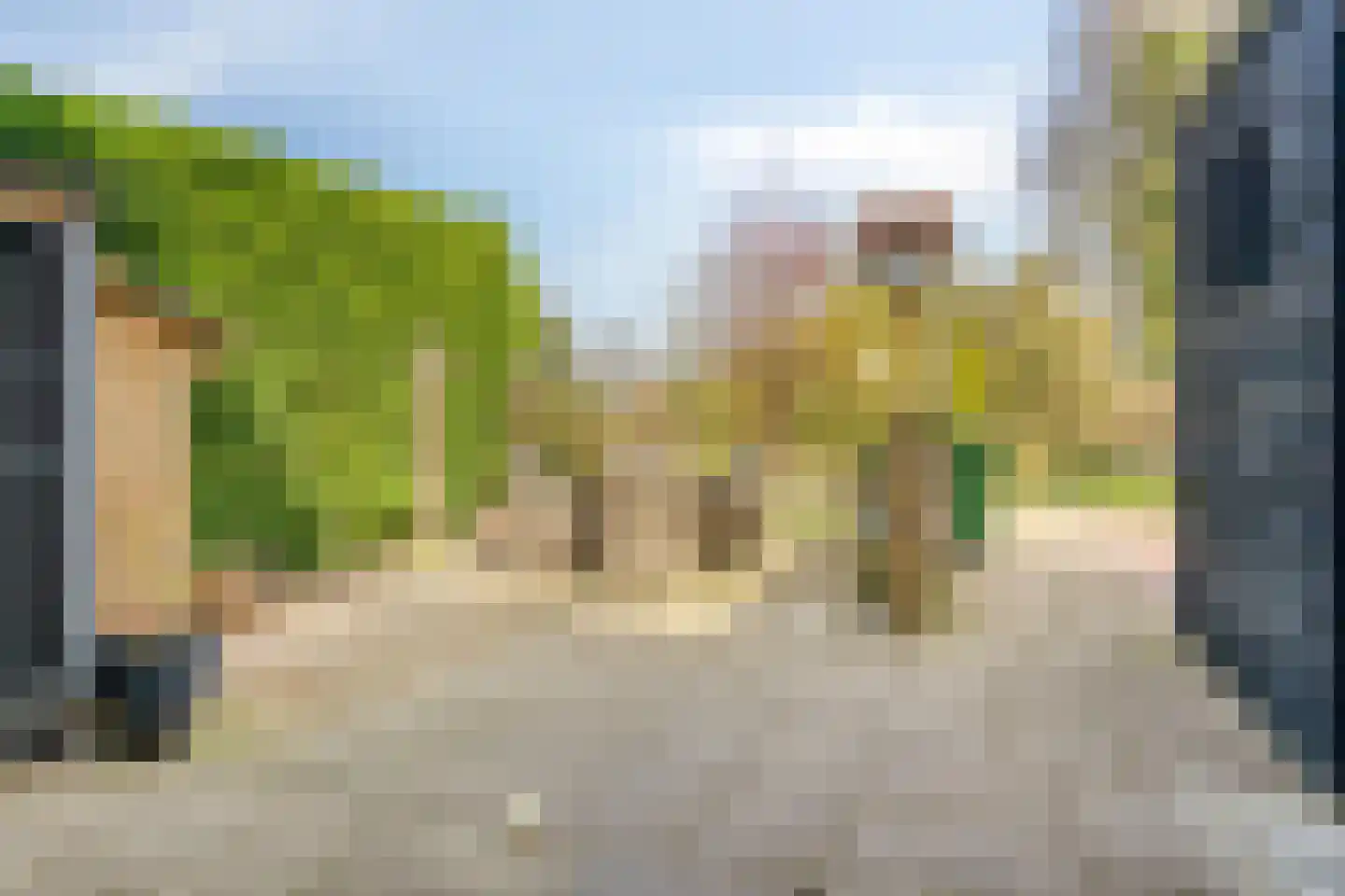 Molenweg 9 Dreischor thumbnail 46