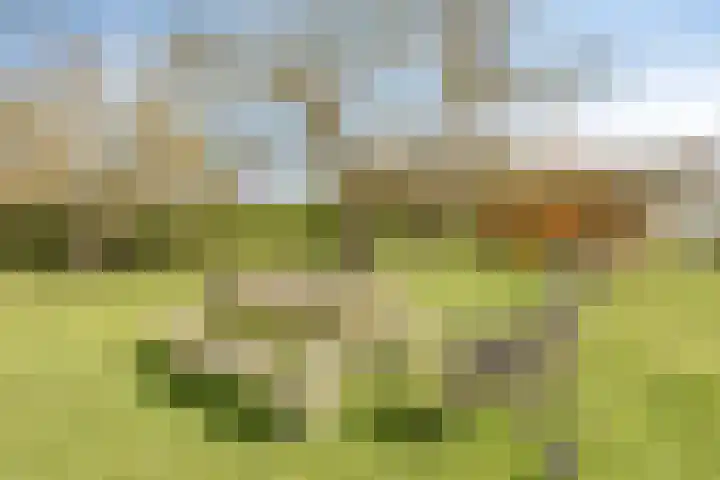 Molenweg 9 Dreischor thumbnail 51