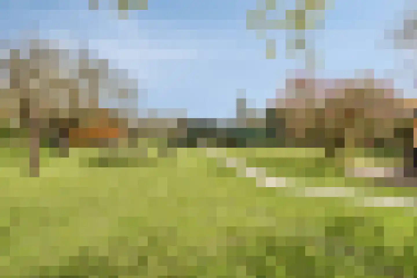Molenweg 9 Dreischor thumbnail 52