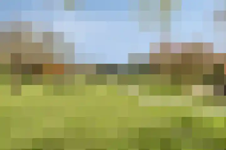 Molenweg 9 Dreischor thumbnail 52