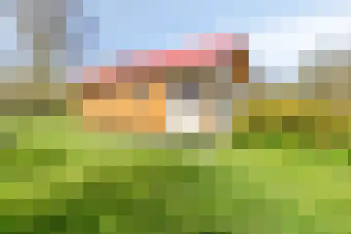 Molenweg 9 Dreischor thumbnail 53