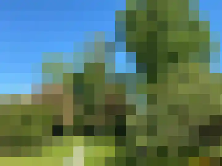 Molenweg 9 Dreischor thumbnail 55
