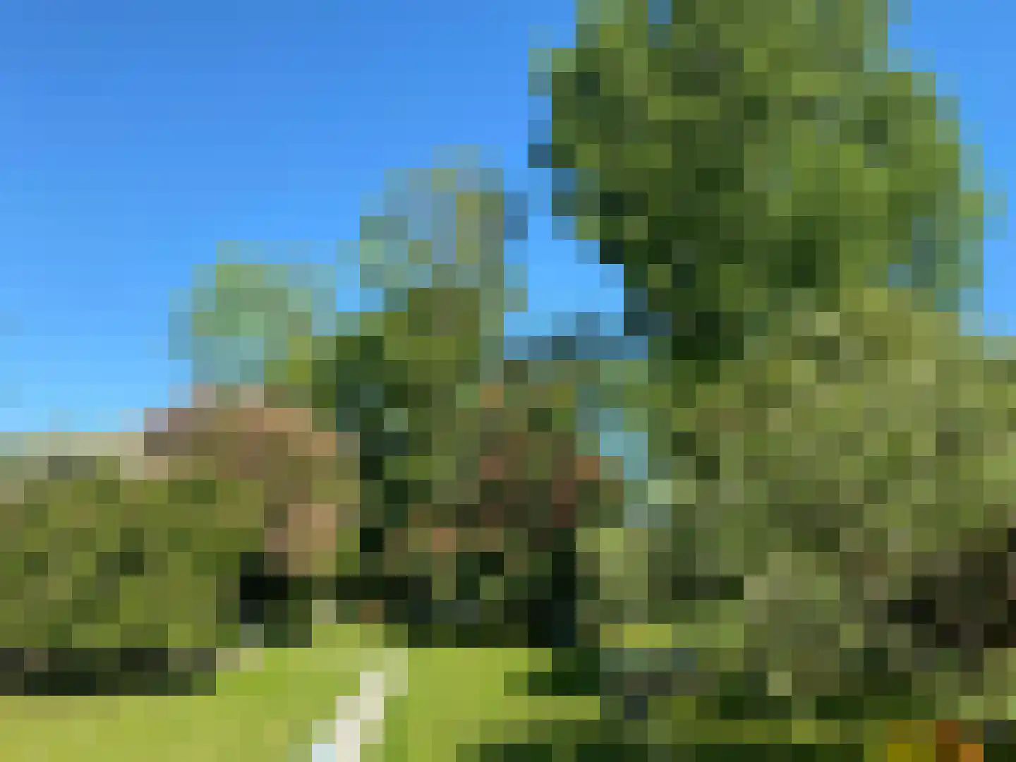 Molenweg 9 Dreischor thumbnail 55