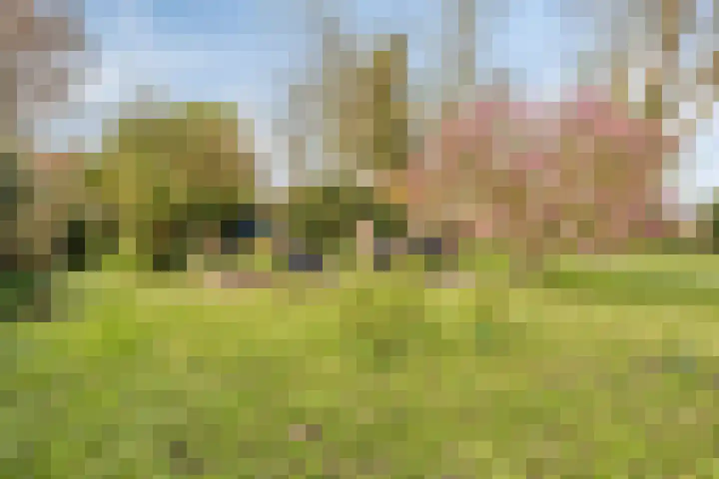Molenweg 9 Dreischor thumbnail 56