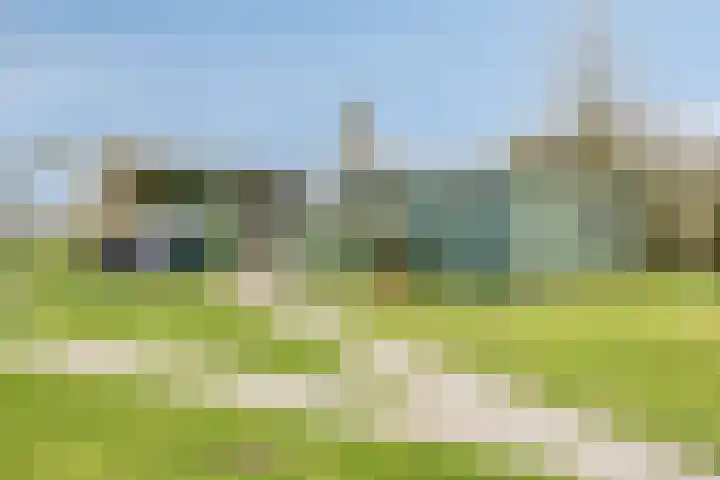 Molenweg 9 Dreischor thumbnail 57
