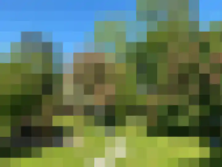 Molenweg 9 Dreischor thumbnail 60