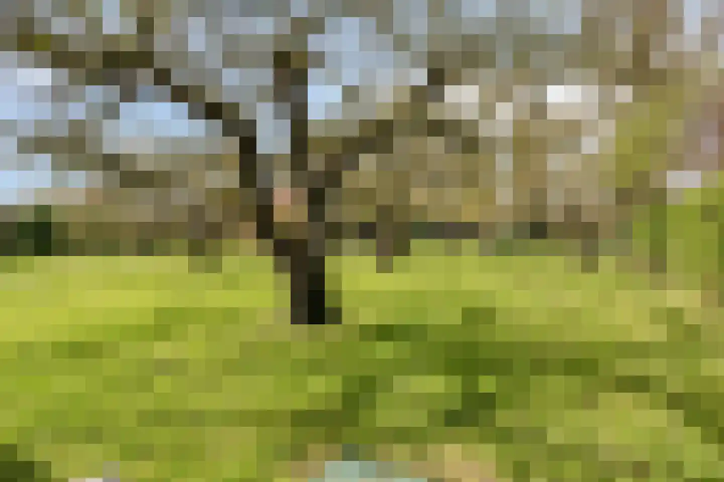 Molenweg 9 Dreischor thumbnail 61