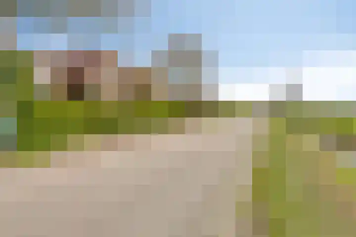 Molenweg 9 Dreischor thumbnail 63