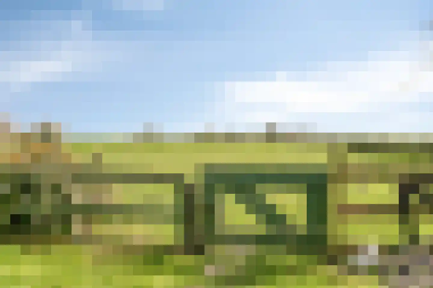 Molenweg 9 Dreischor thumbnail 64