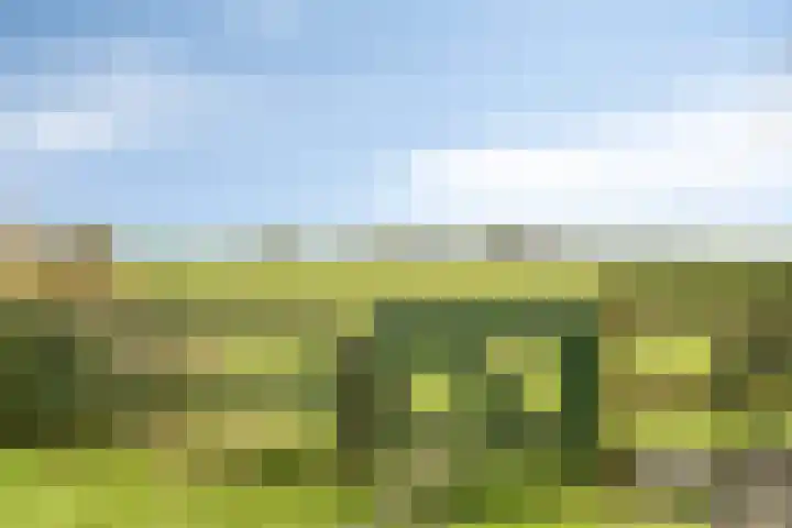 Molenweg 9 Dreischor thumbnail 64