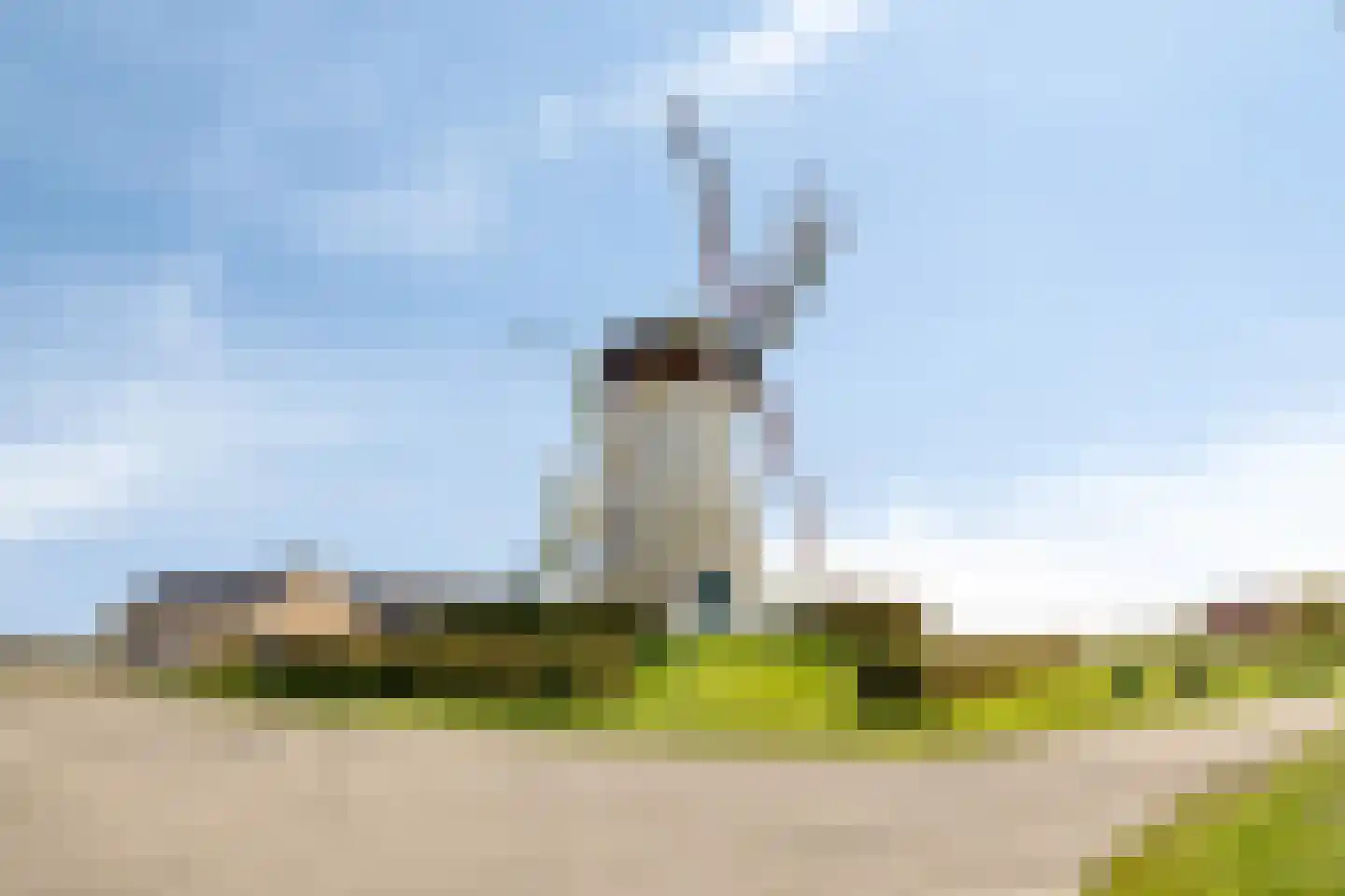Molenweg 9 Dreischor thumbnail 65
