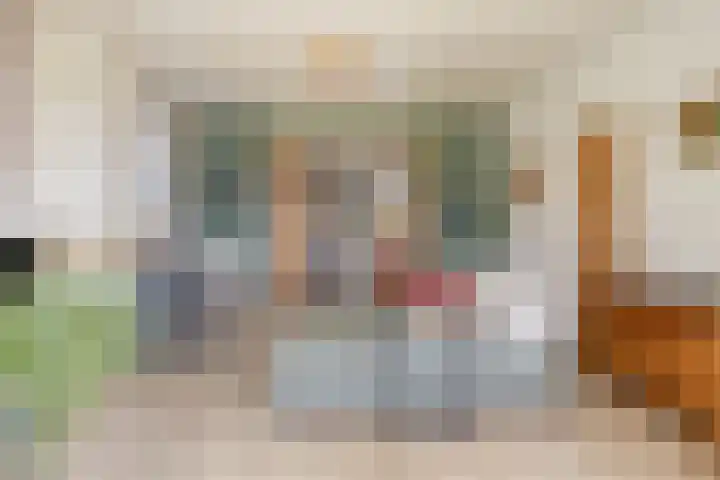 Molenweg 9 Dreischor thumbnail 7