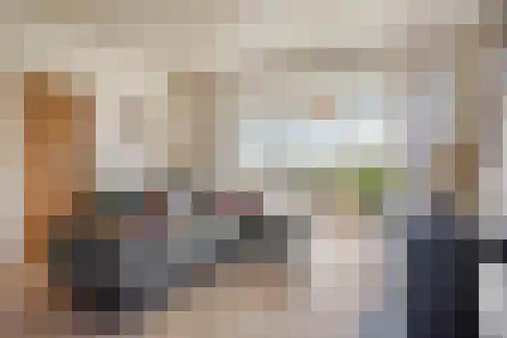 Molenweg 9 Dreischor thumbnail 8