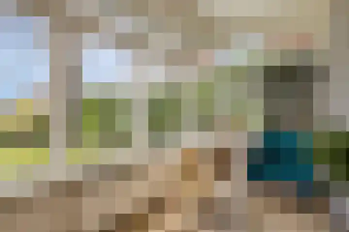Molenweg 9 Dreischor thumbnail 9