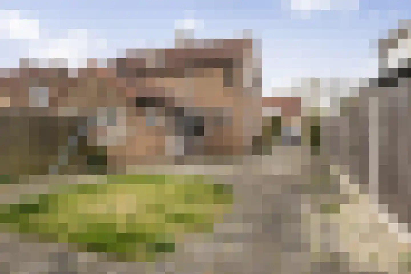 Molenweg 9 Nieuwehorne thumbnail 15