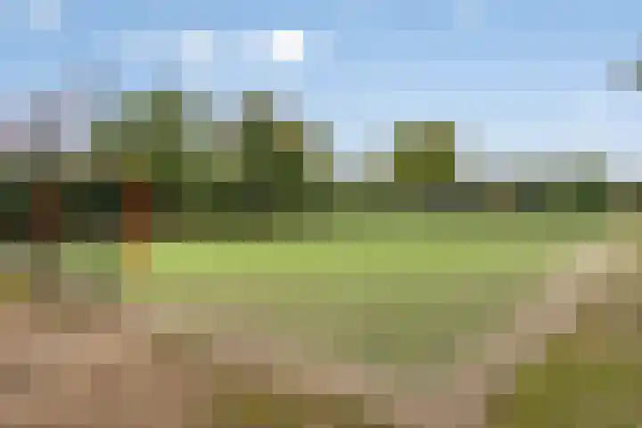 Molenweg 95 Berghem thumbnail 53