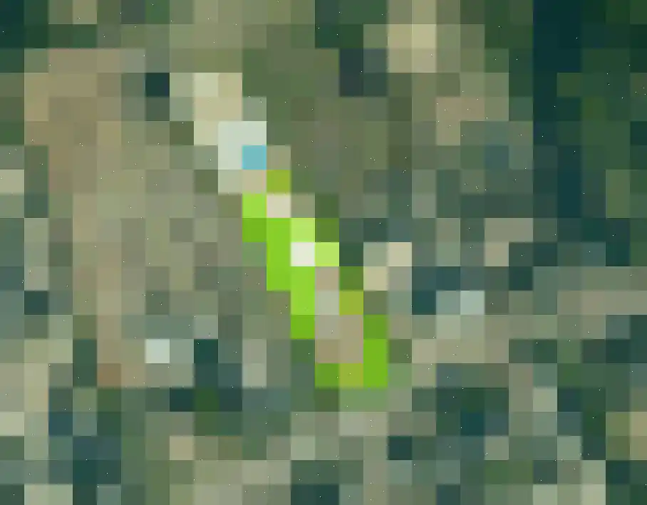 Molenweg Bergharen thumbnail 8