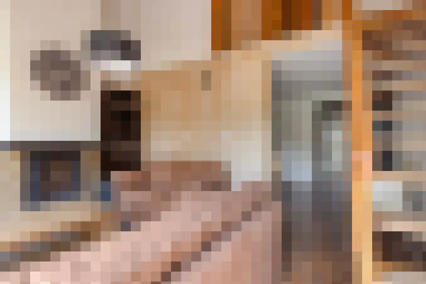 Molenweg "De Kreek" Hertengang 34 Bruinisse thumbnail 10