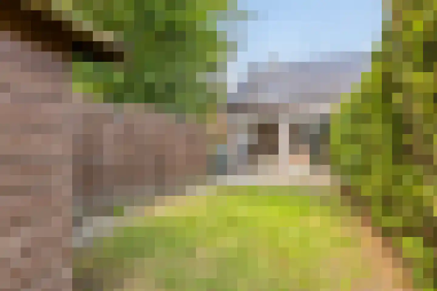 Molenweg "De Kreek" Hertengang 34 Bruinisse thumbnail 19