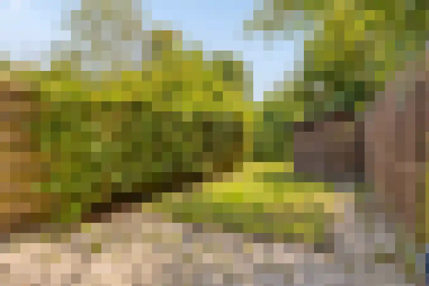 Molenweg "De Kreek" Hertengang 34 Bruinisse thumbnail 20