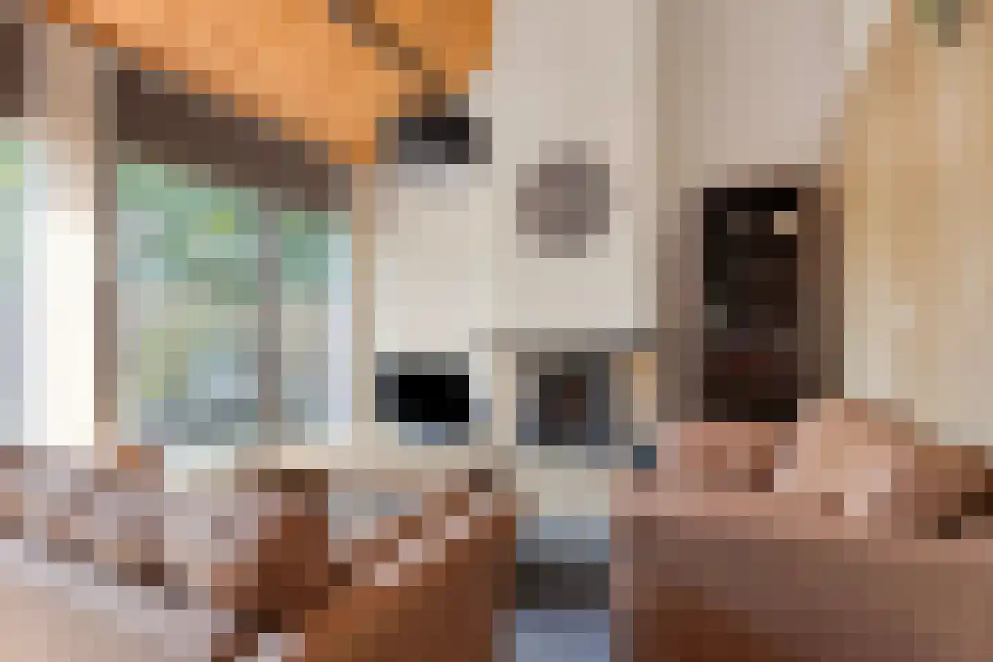 Molenweg "De Kreek" Hertengang 34 Bruinisse thumbnail 9