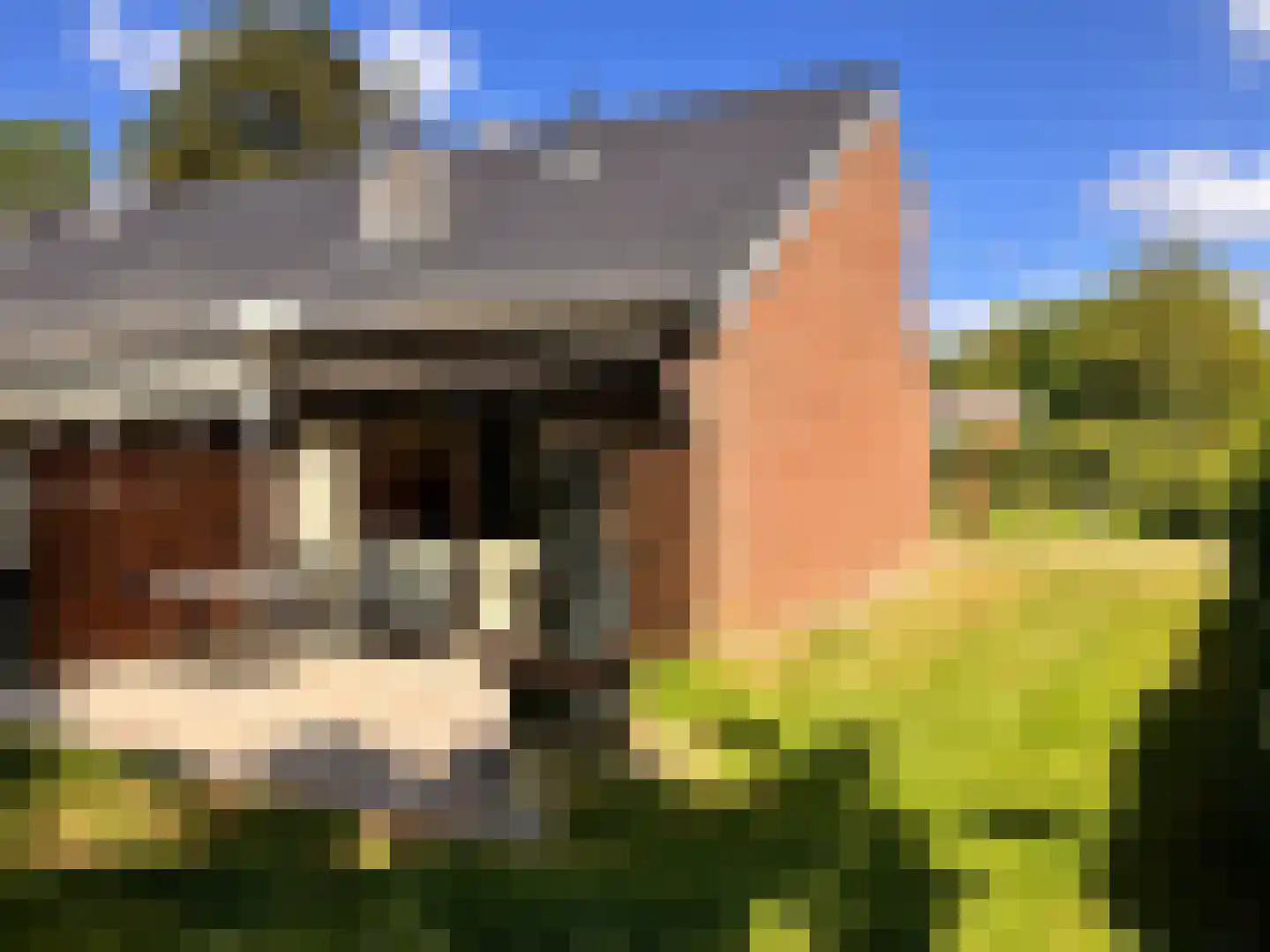 Molenweg "De Kreek" Hertengang 43 dans Bruinisse