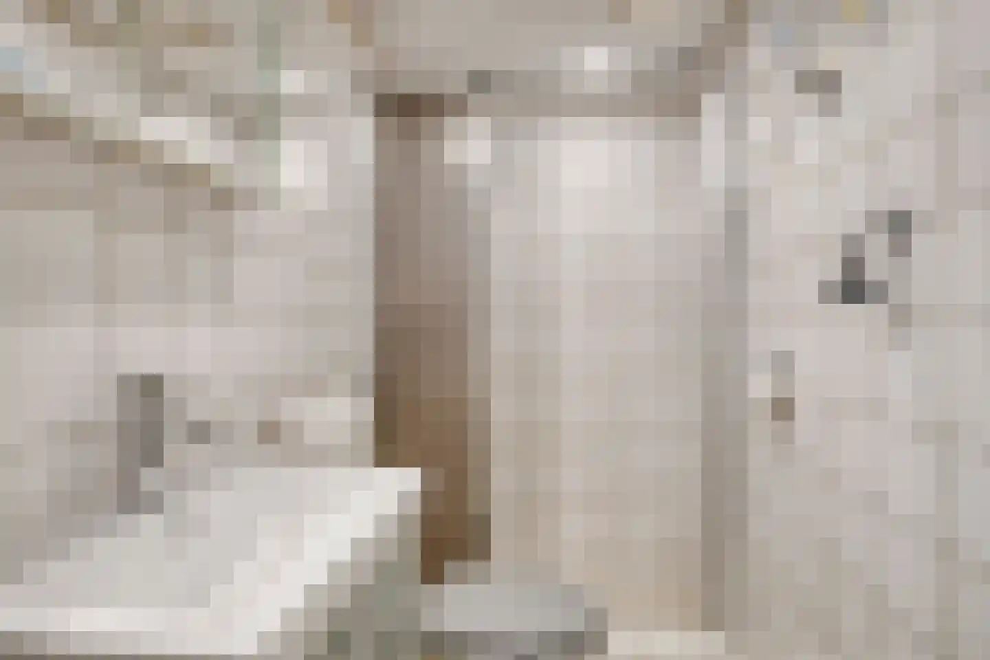 Molenweg "De Kreek" Konijnenberg 17 Bruinisse thumbnail 15