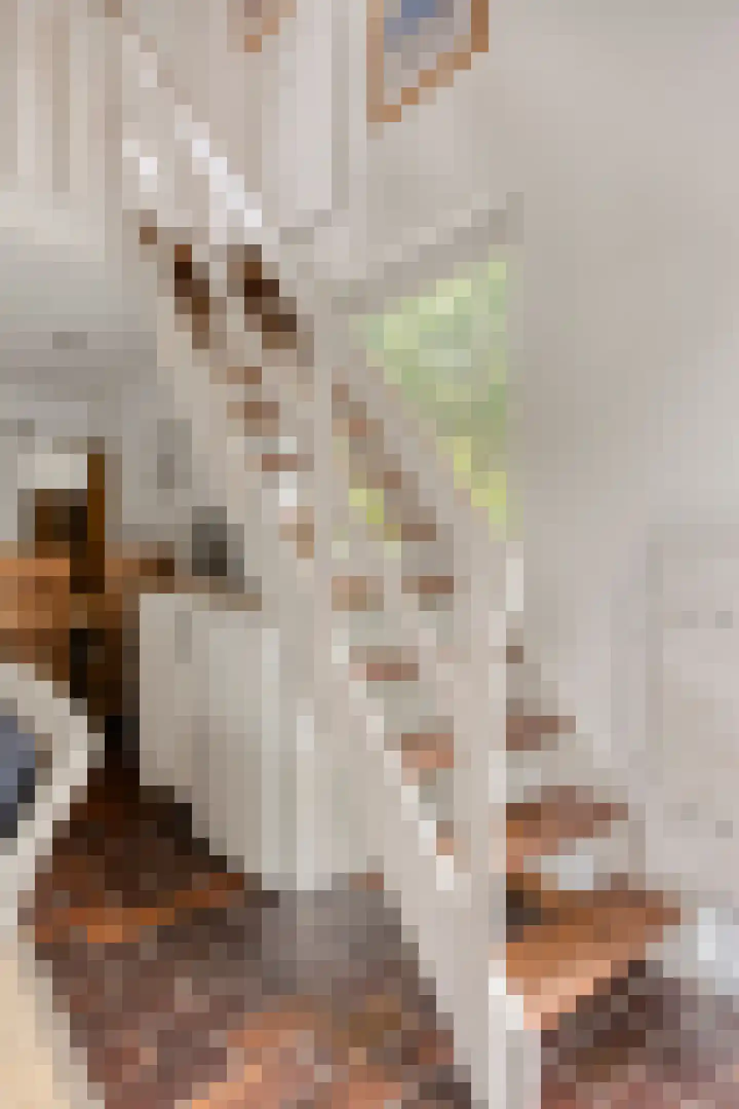 Molenweg "De Kreek" Konijnenberg 17 Bruinisse thumbnail 20