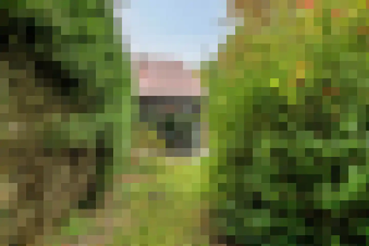 Molenweg "De Kreek" Konijnenberg 17 Bruinisse thumbnail 26