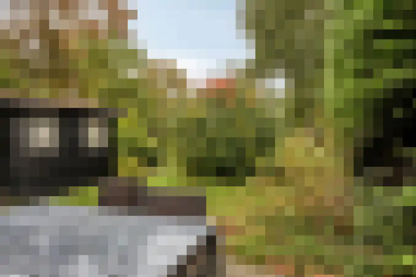 Molenweg "De Kreek" Konijnenberg 17 Bruinisse thumbnail 27