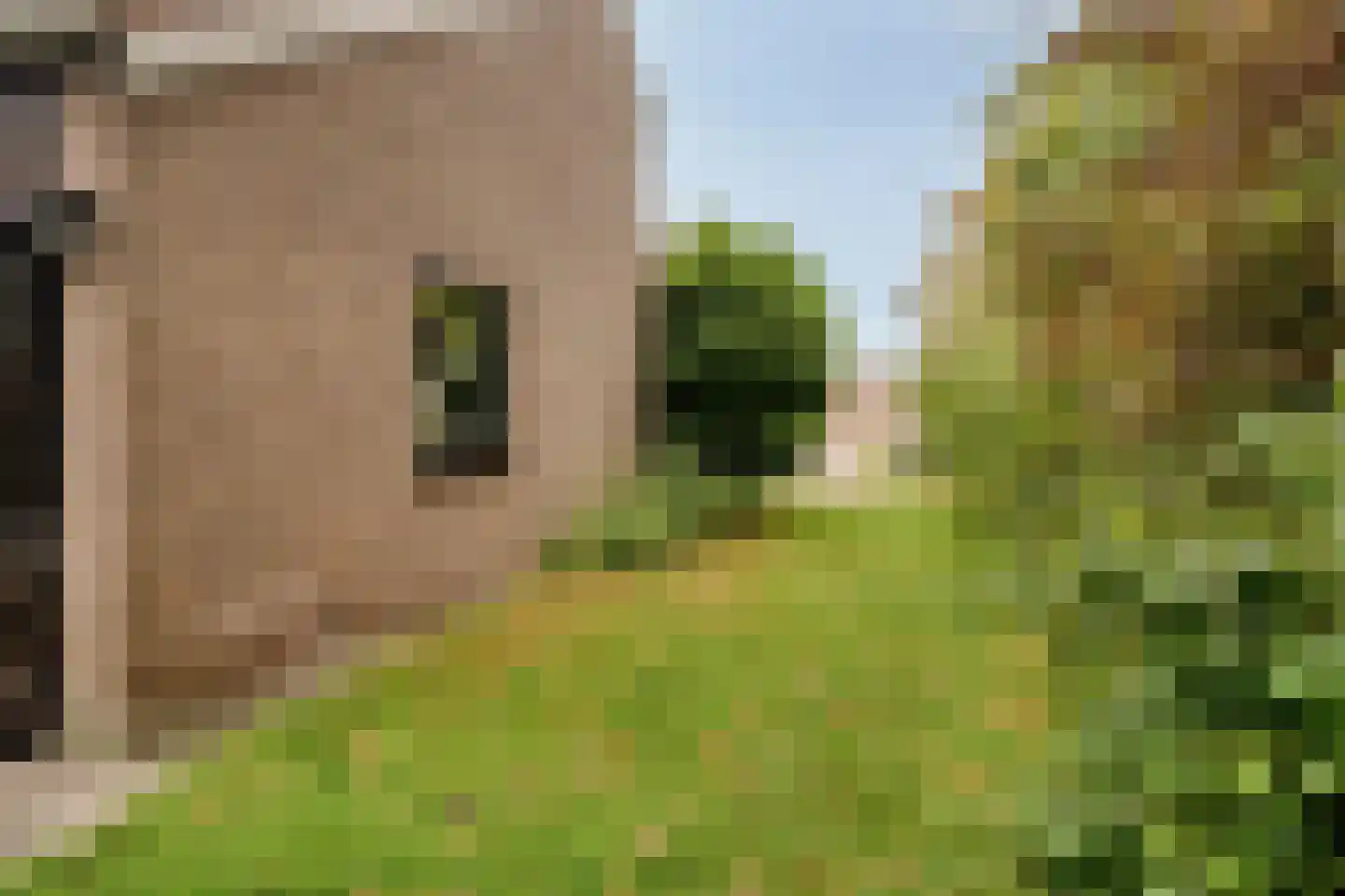 Molenweg "De Kreek" Konijnenberg 17 Bruinisse thumbnail 28