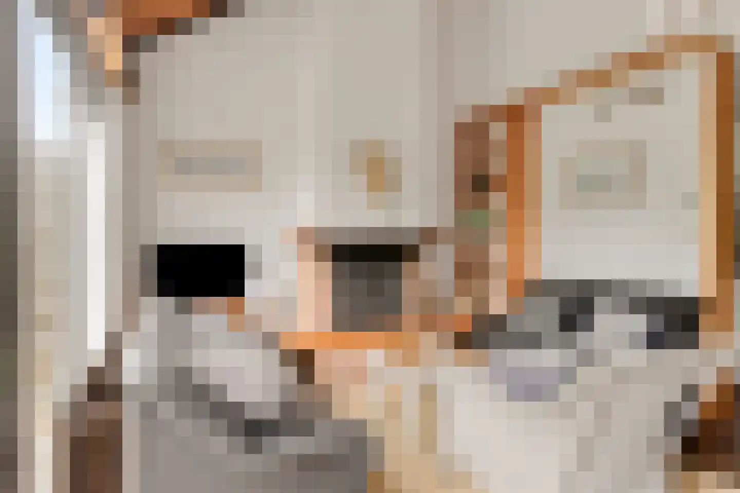 Molenweg "De Kreek" Konijnenberg 17 Bruinisse thumbnail 5
