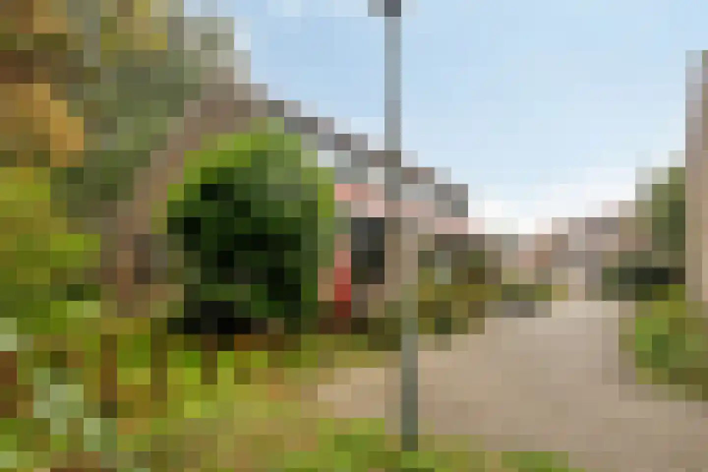 Molenweg "De Kreek" Konijnenberg 17 Bruinisse thumbnail 7