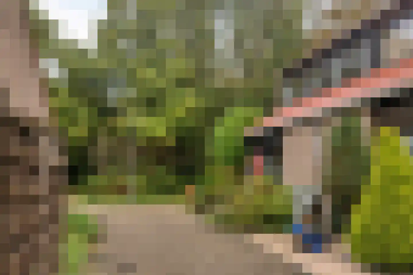 Molenweg "De Kreek" Konijnenberg 17 Bruinisse thumbnail 9