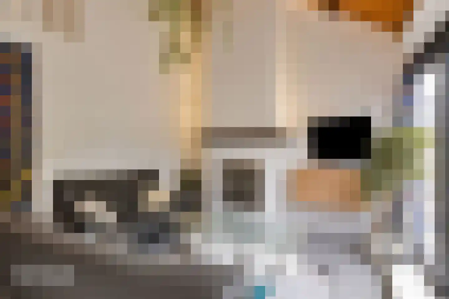 Molenweg "De Kreek" Konijnenberg 18 Bruinisse thumbnail 18