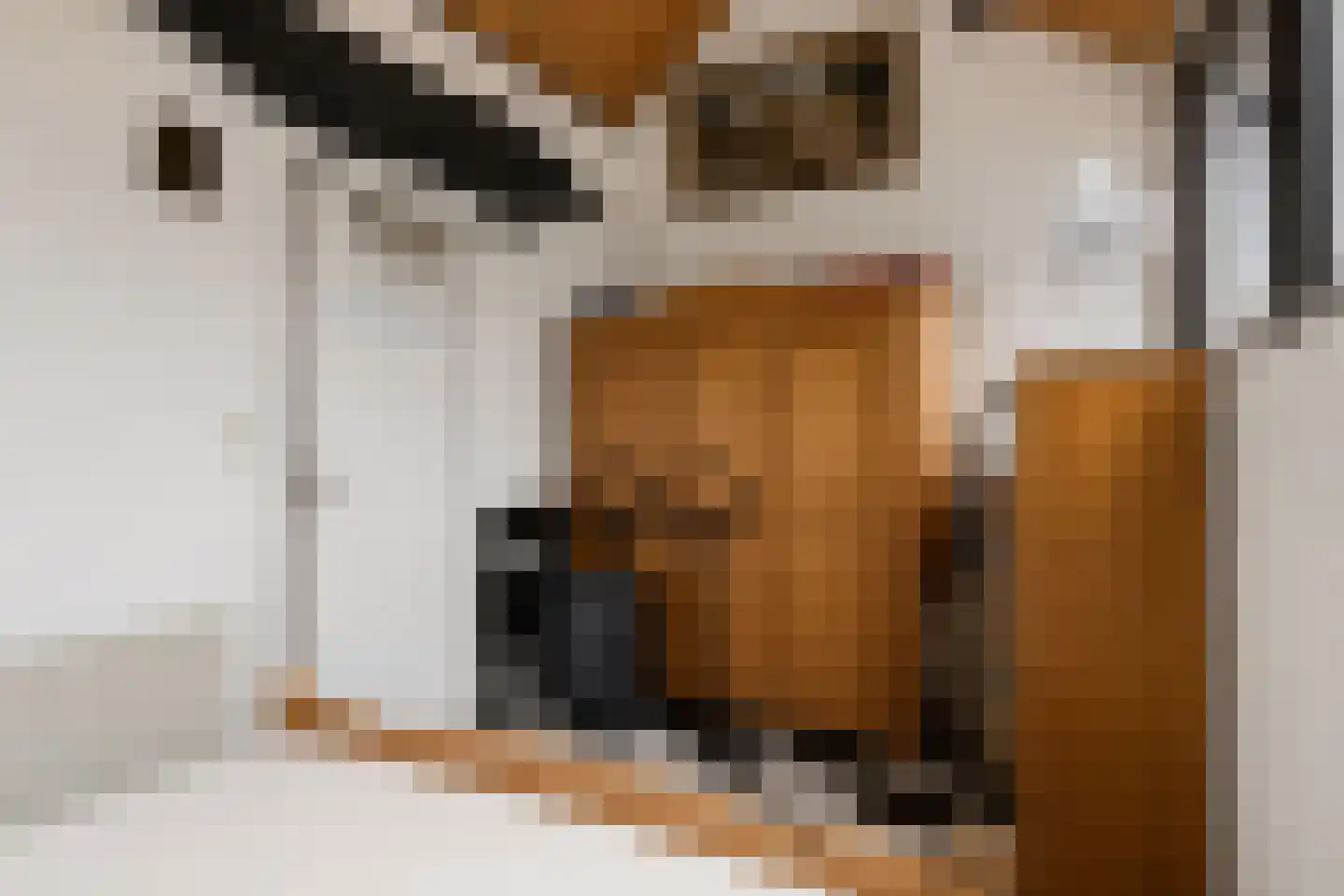 Molenweg "De Kreek" Konijnenberg 18 Bruinisse thumbnail 24