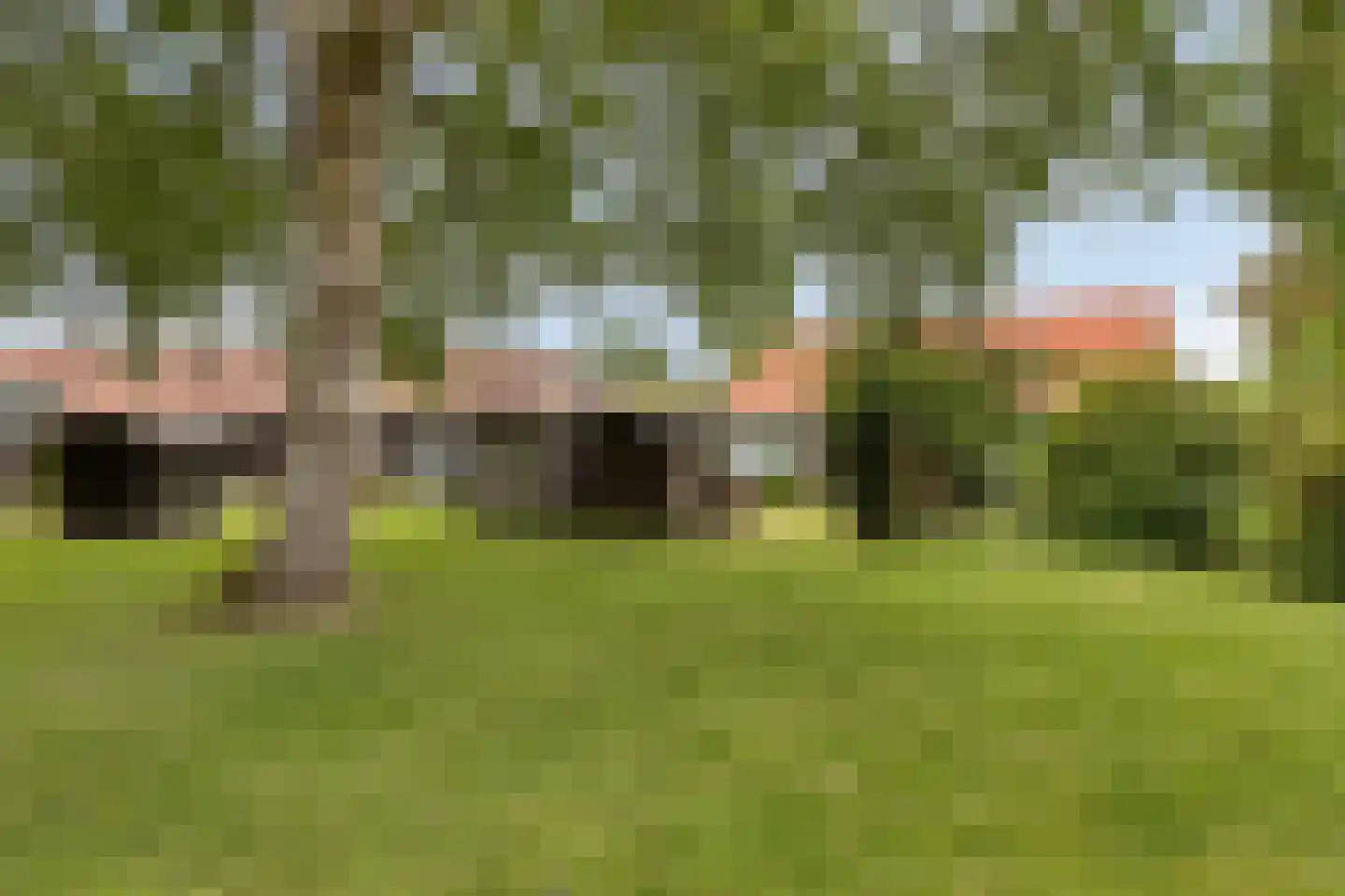 Molenweg "De Kreek" Konijnenberg 18 Bruinisse thumbnail 29