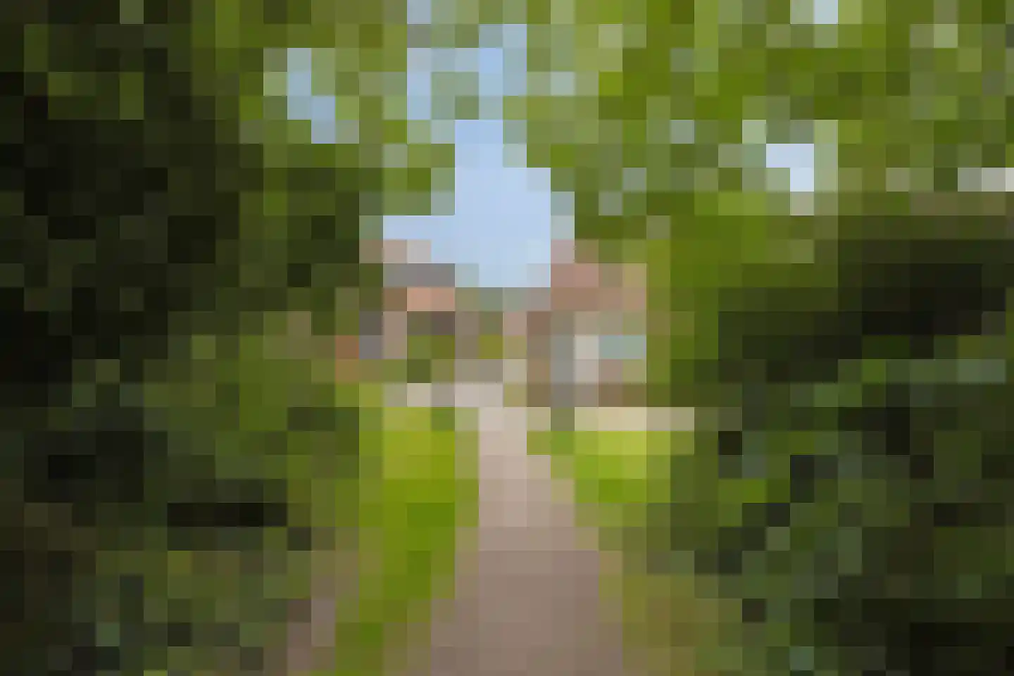 Molenweg "De Kreek" Konijnenberg 18 Bruinisse thumbnail 30