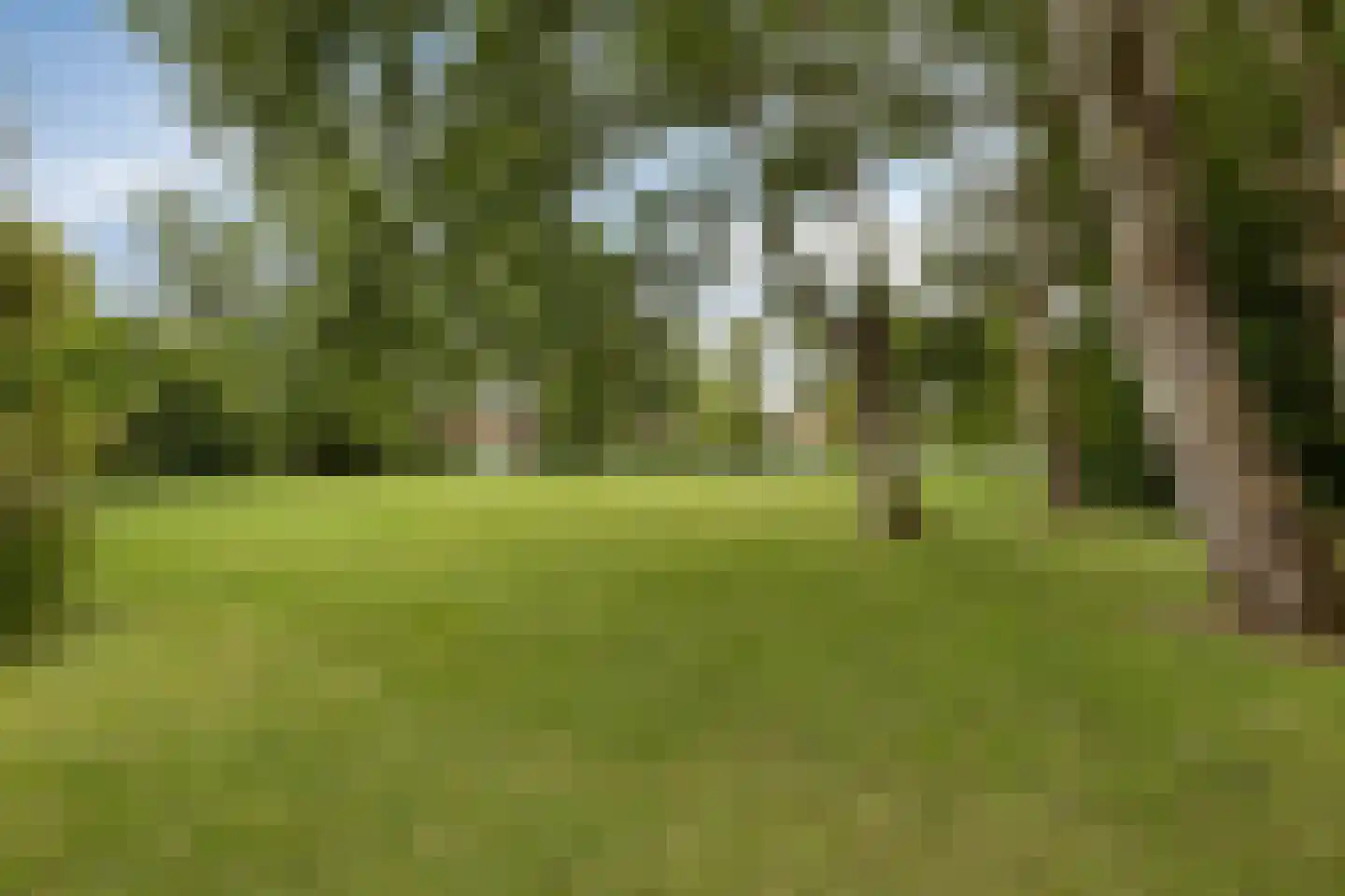 Molenweg "De Kreek" Konijnenberg 18 Bruinisse thumbnail 4