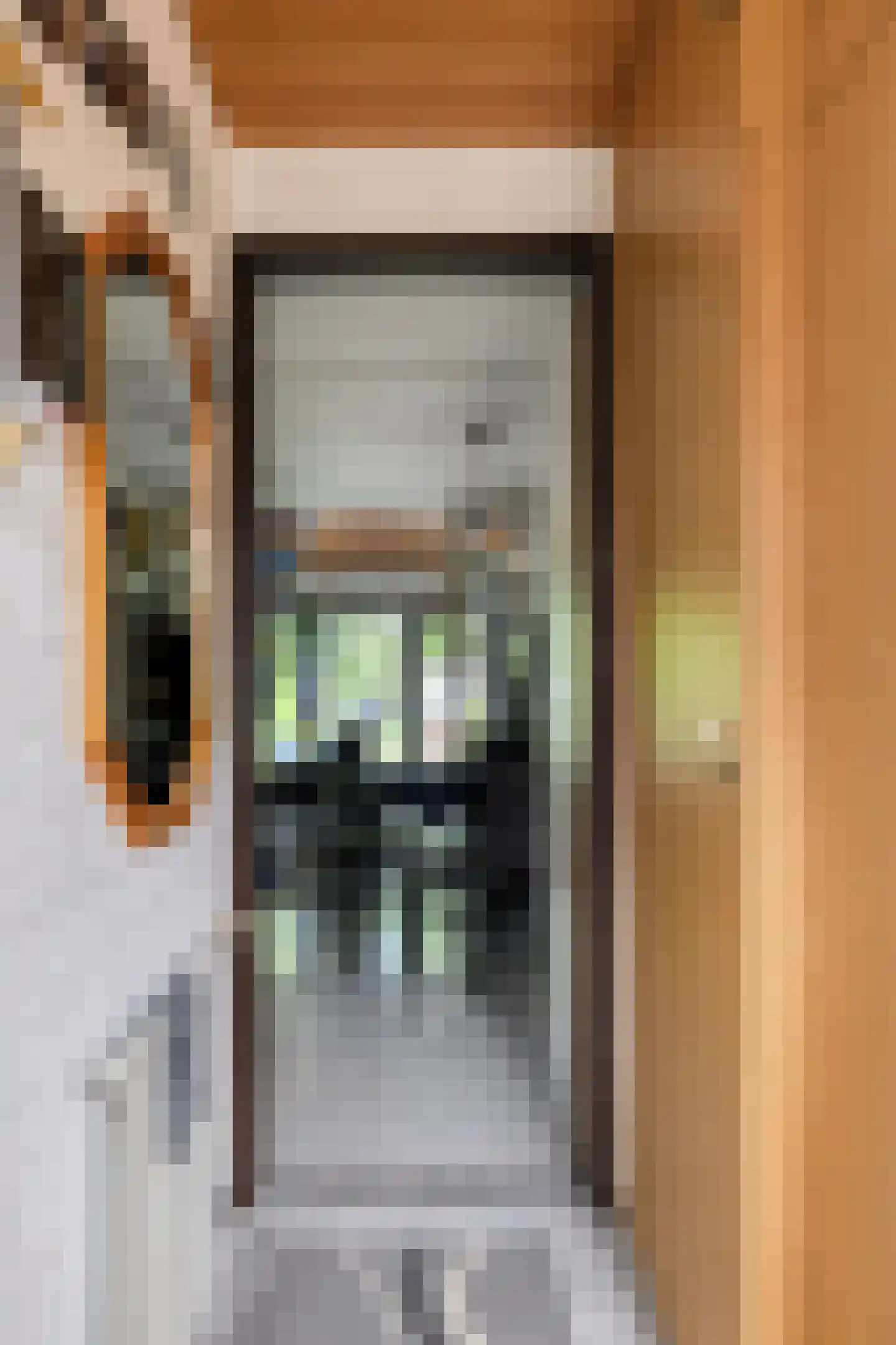 Molenweg "De Kreek" Konijnenberg 18 Bruinisse thumbnail 7
