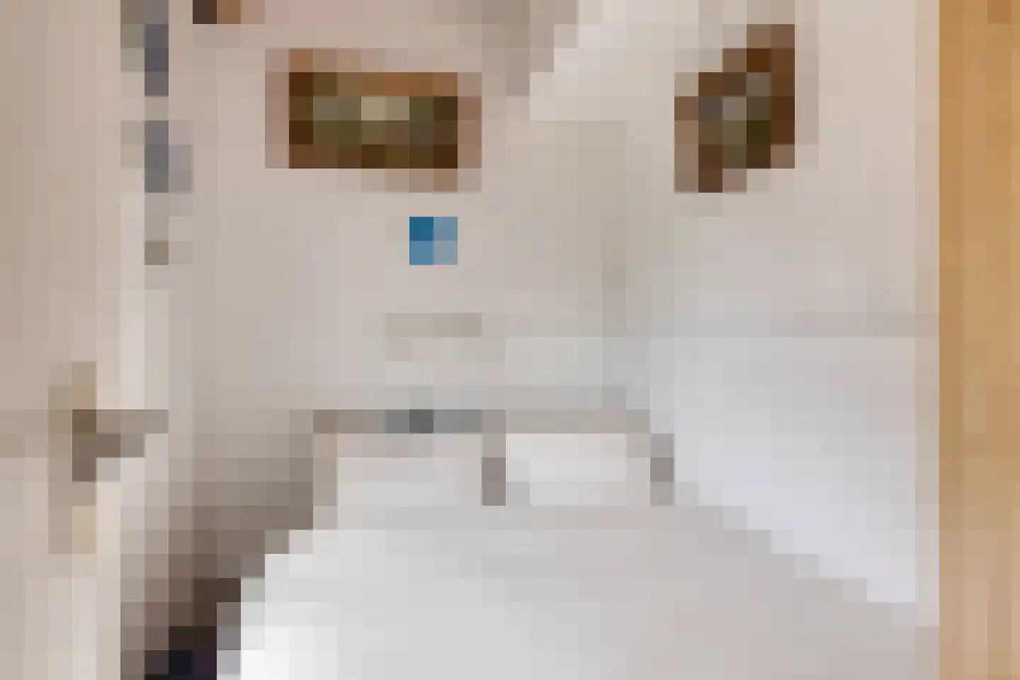 Molenweg "De Kreek" Konijnenberg 18 Bruinisse thumbnail 8