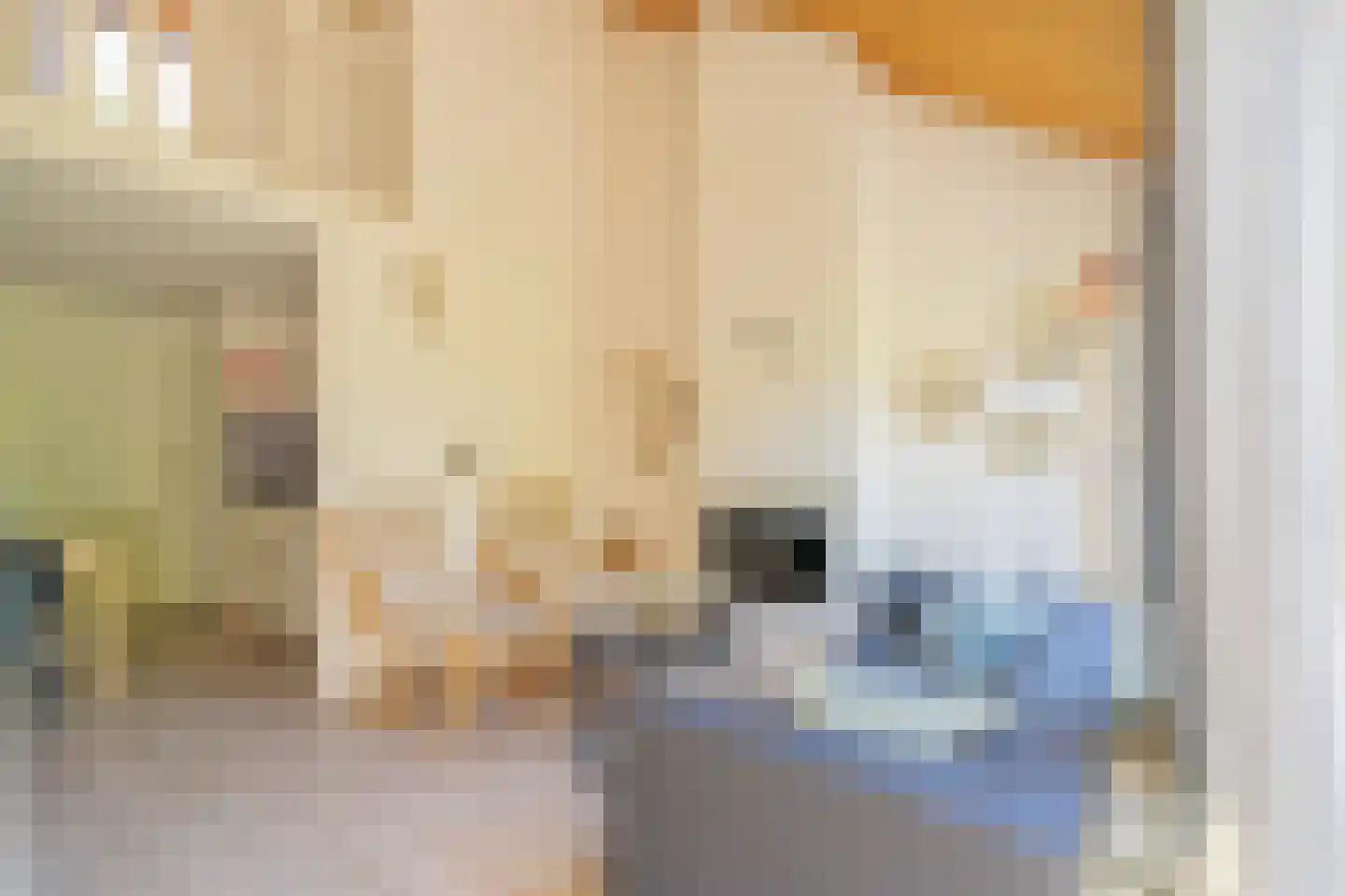 Molenweg "De Kreek" Konijnenberg 22 Bruinisse thumbnail 11