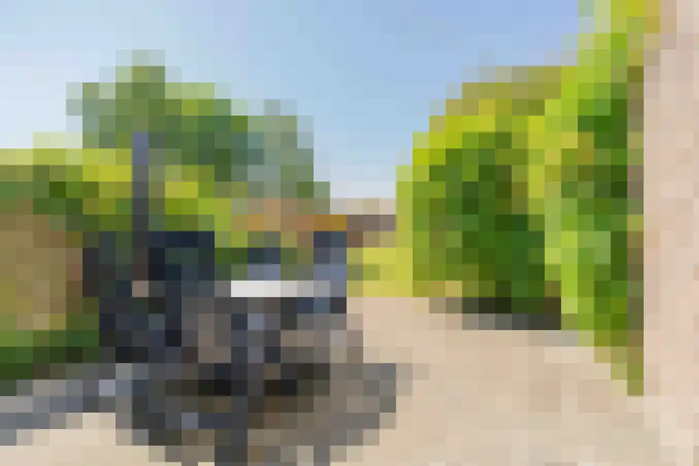 Molenweg "De Kreek" Konijnenberg 22 Bruinisse thumbnail 20