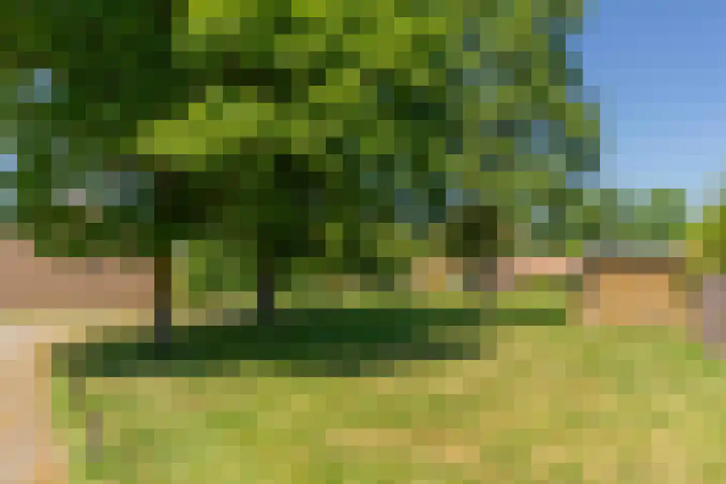 Molenweg "De Kreek" Konijnenberg 22 Bruinisse thumbnail 24