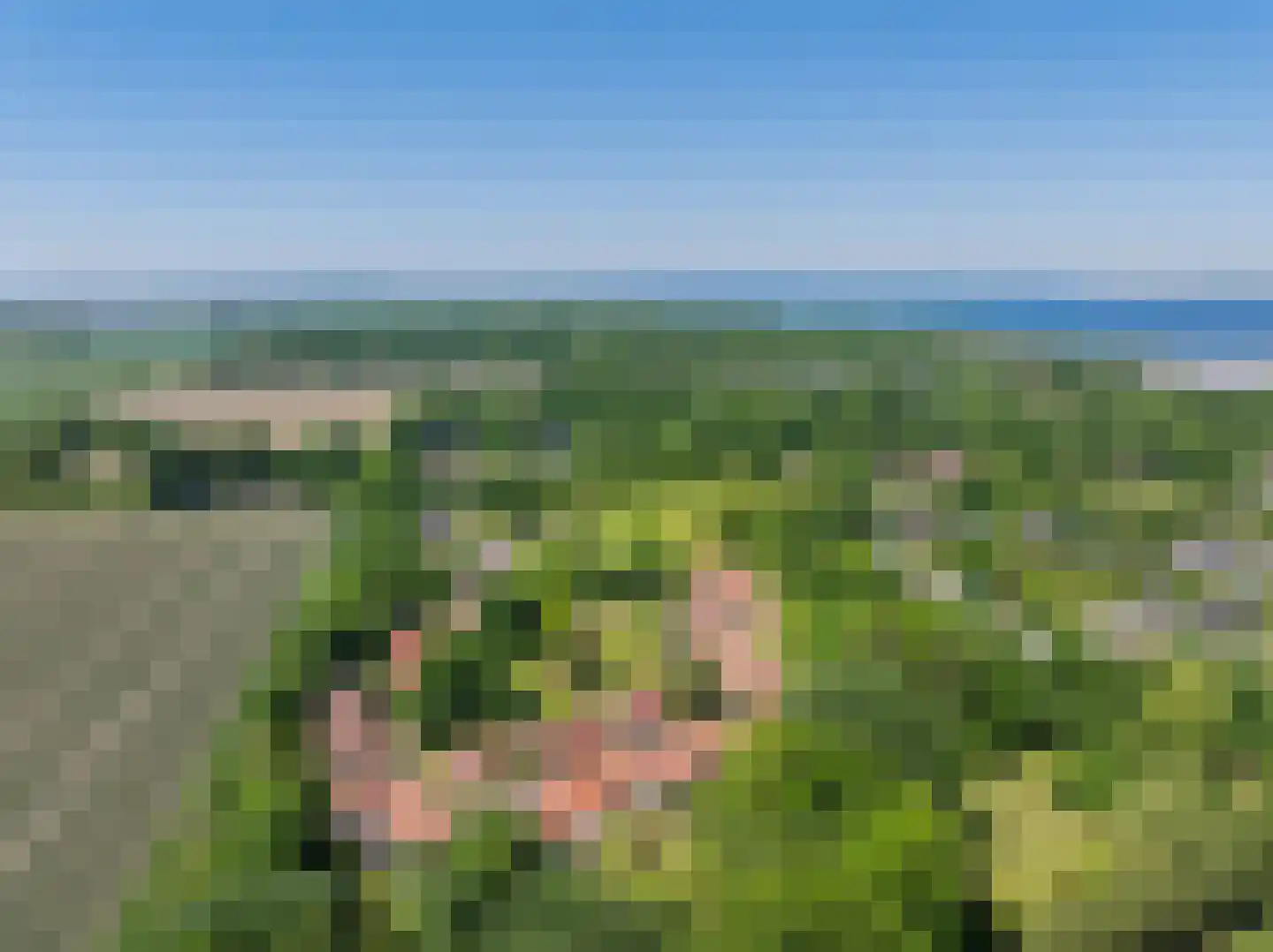 Molenweg "De Kreek" Konijnenberg 22 Bruinisse thumbnail 28