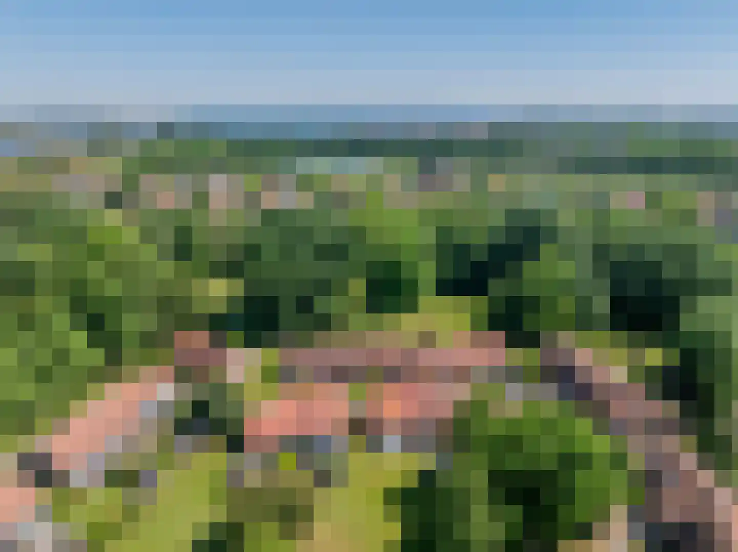 Molenweg "De Kreek" Konijnenberg 22 Bruinisse thumbnail 4