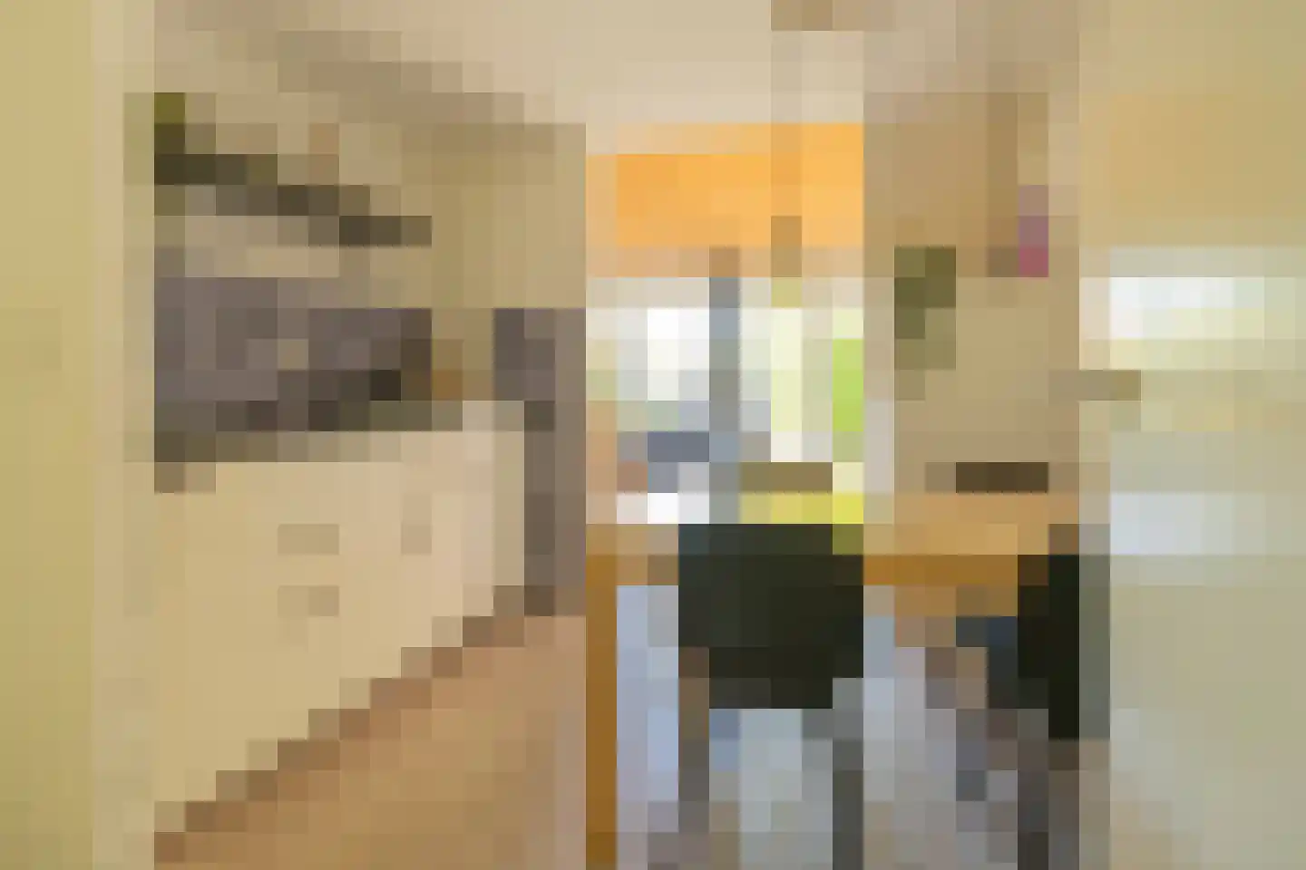 Molenweg "De Kreek" Konijnenberg 22 Bruinisse thumbnail 6