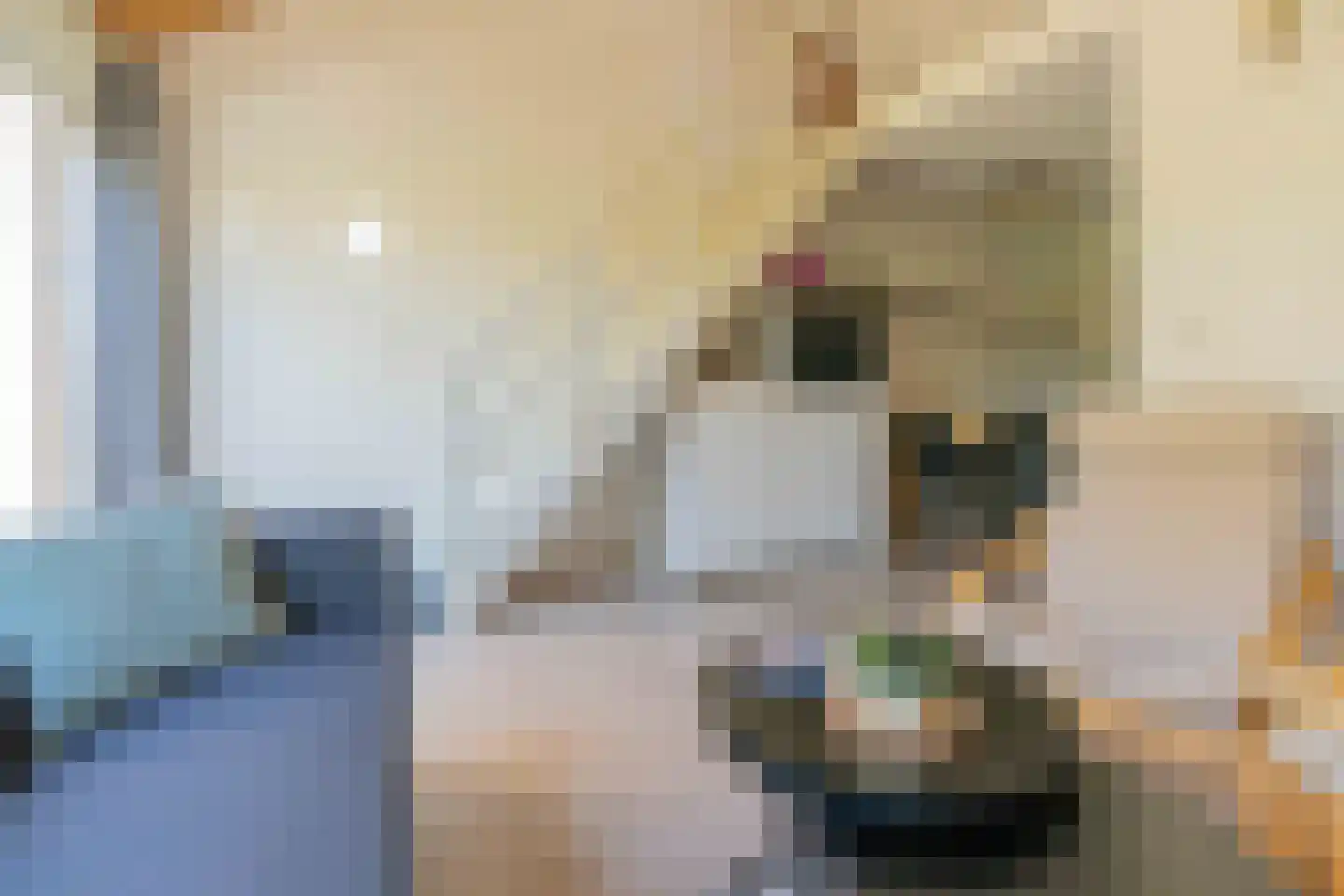 Molenweg "De Kreek" Konijnenberg 22 Bruinisse thumbnail 8