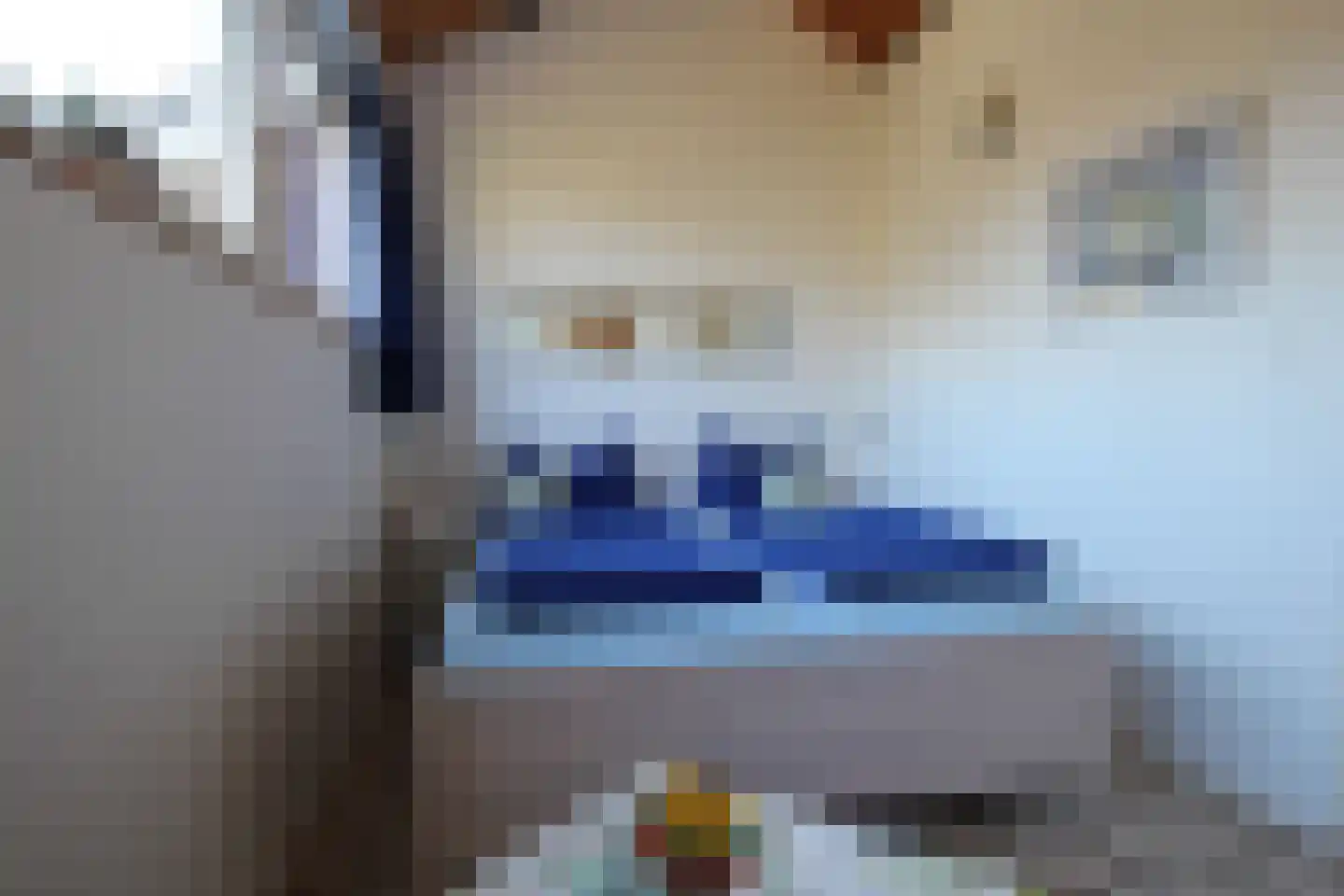 Molenweg "De Kreek" Konijnenberg 25 Bruinisse thumbnail 7