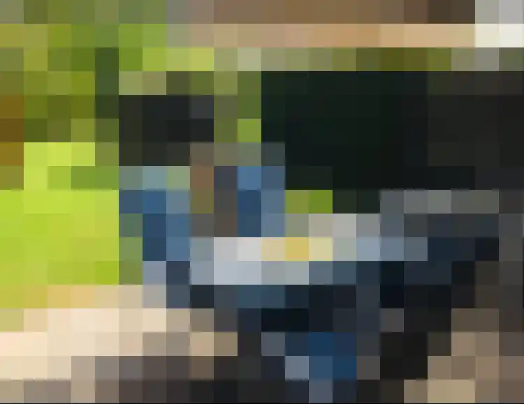 Molenweg "De Kreek" Konijnenberg 25 Bruinisse thumbnail 8